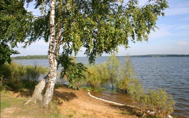 Отдых в Подмосковье летом