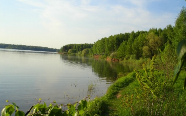 Отдых в Подмосковье летом