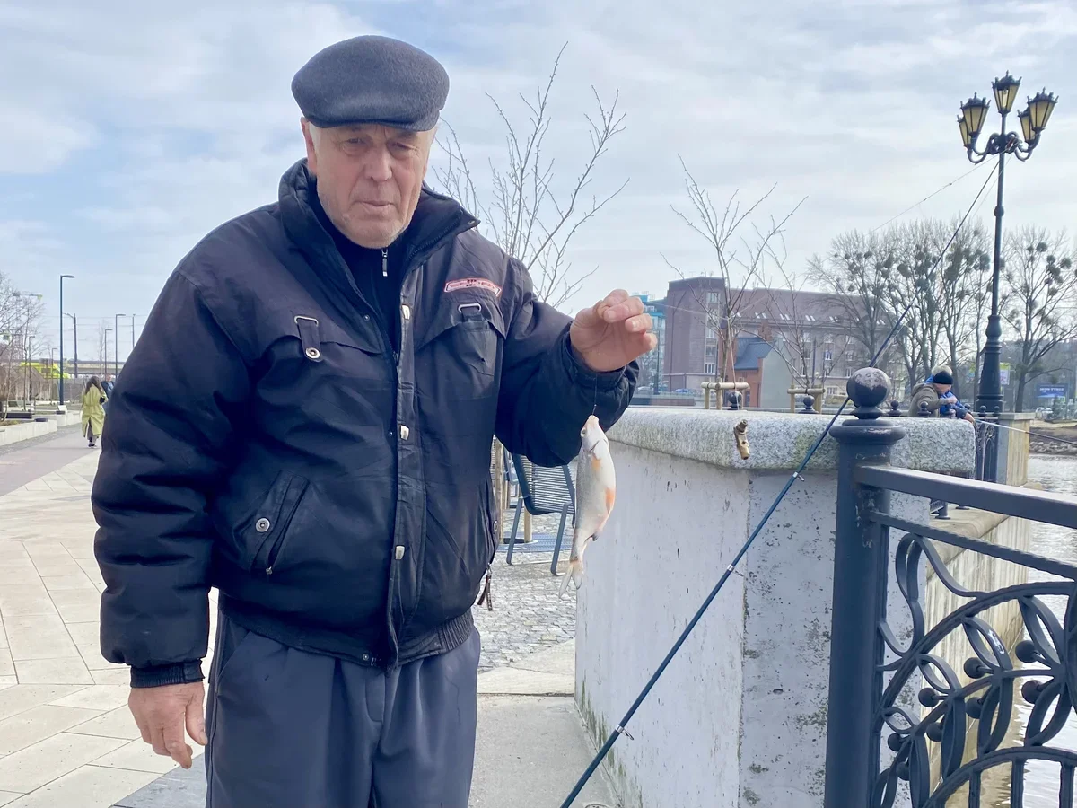 Десять «фишек» Калининграда, которые вам обязательно понравятся
Десять «фишек» Калининграда, которые вам обязательно понравятся
