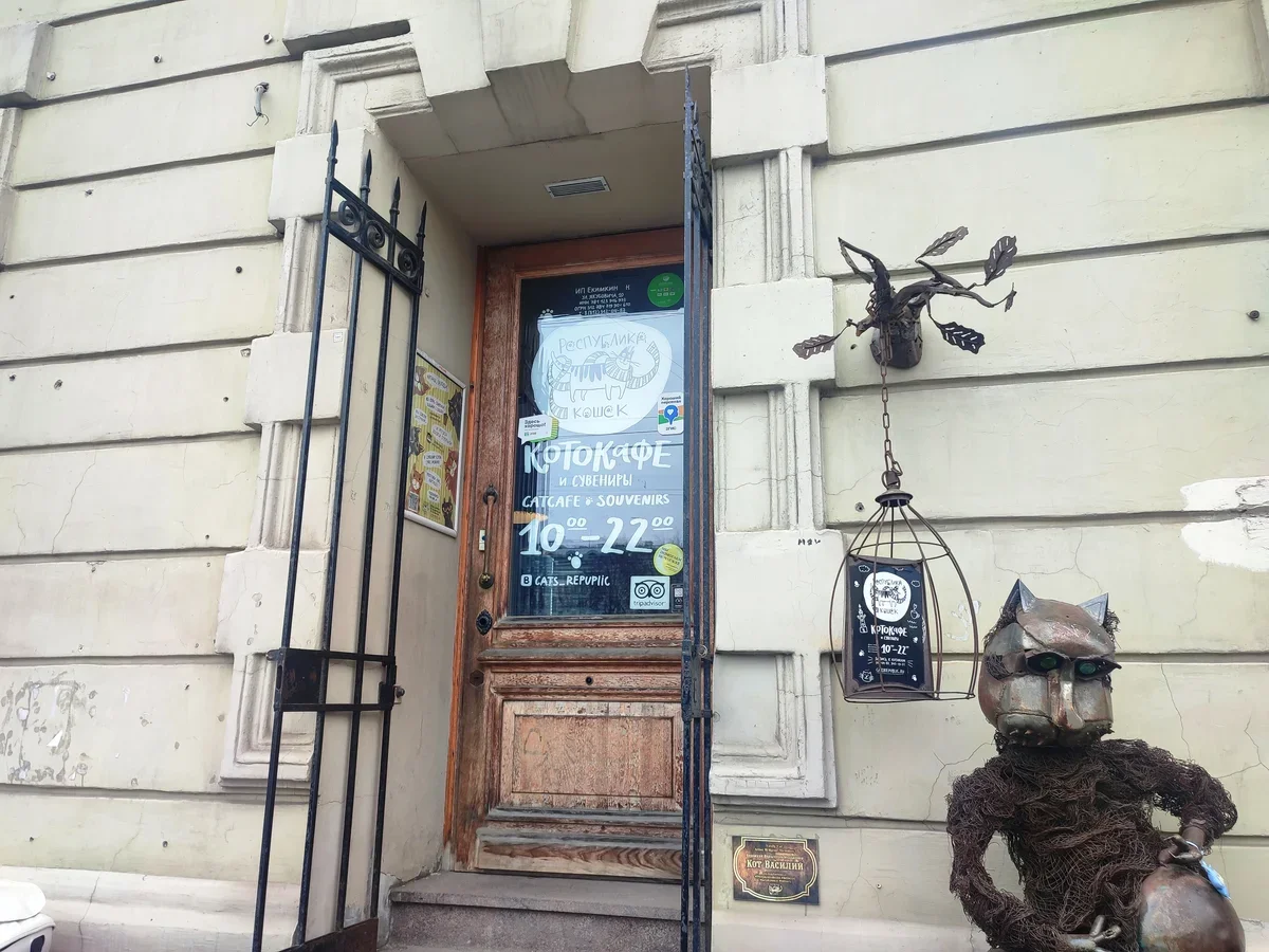 В Петербург и Кронштадт с детьми на машине в первый раз: опыт поездки на три дня и готовый план
В Петербург и Кронштадт с детьми на машине в первый раз: опыт поездки на три дня и готовый план