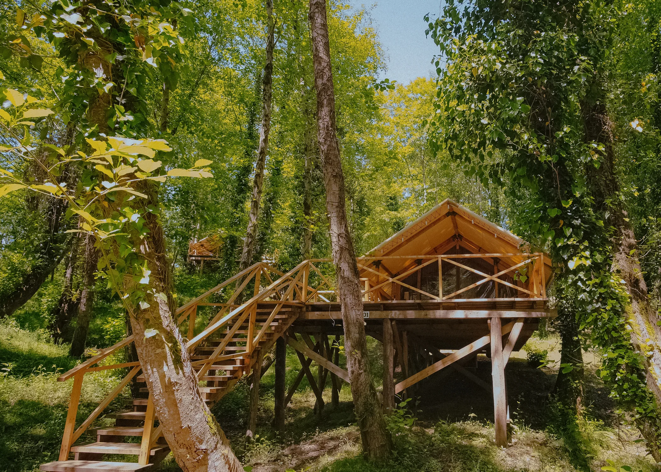 Весенний INTOURIST CAMP в Абхазии
Весенний INTOURIST CAMP в Абхазии