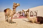 Эксклюзивный опыт ПАКС. Блок мест на Qatar Airways в Катар
Эксклюзивный опыт ПАКС. Блок мест на Qatar Airways в Катар