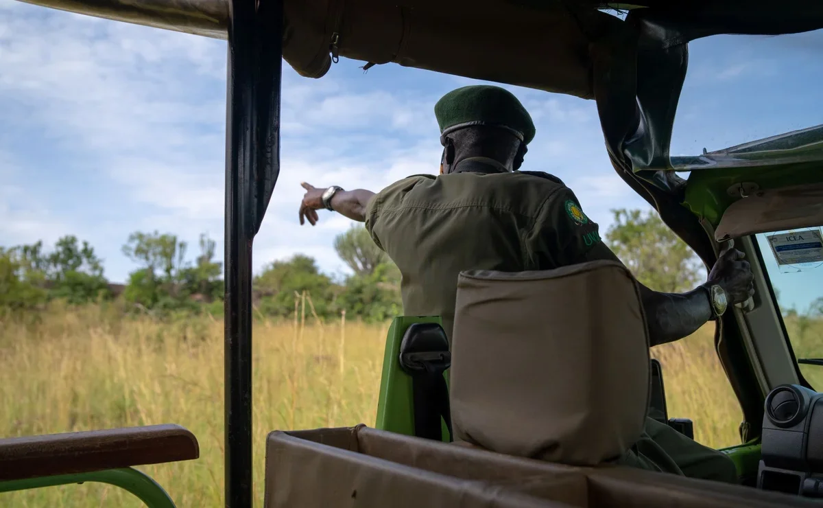 Эксклюзивный вебинар от Ratel Safaris для российских туроператоров
Эксклюзивный вебинар от Ratel Safaris для российских туроператоров