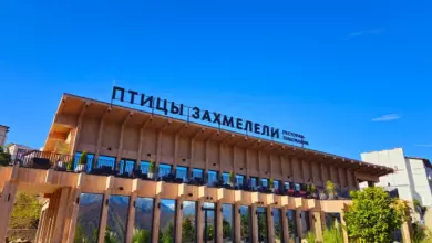 Photo of Птицы захмелели: на курорте Красная Поляна открылся Центр гастрономического туризма