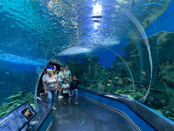 Владивостокский фьюжн. Что посмотреть и попробовать на восточном краю России
Владивостокский фьюжн. Что посмотреть и попробовать на восточном краю России